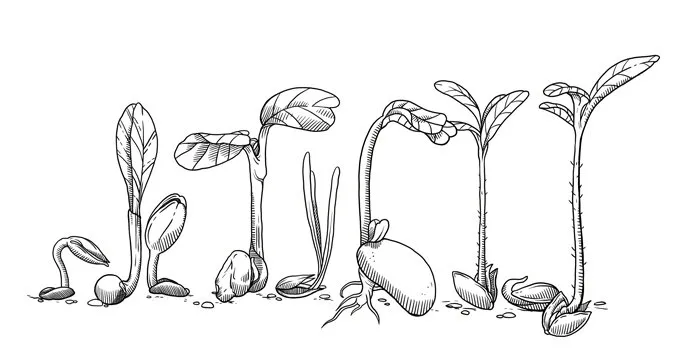00_cover_ueber-magic-garden-seeds