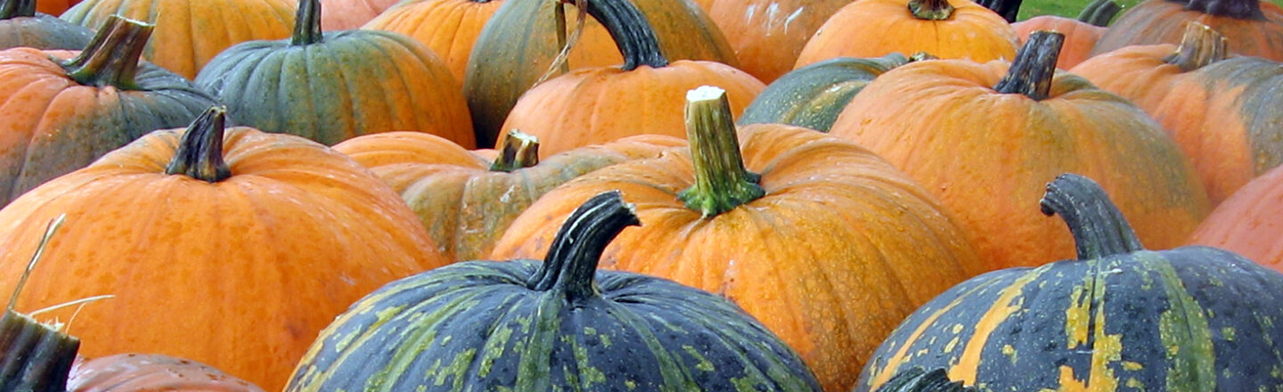 De nombreuses courges orange et vertes serrées les unes contre les autres