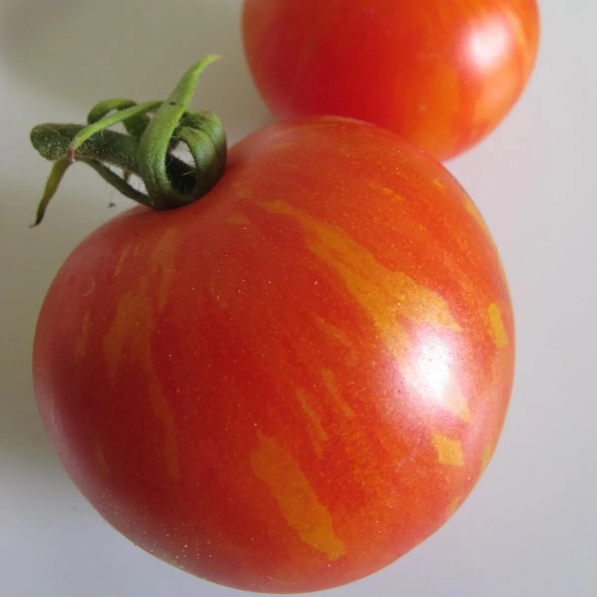 Tomate 'Tiger Tom' (Solanum lycopersicum) Samen