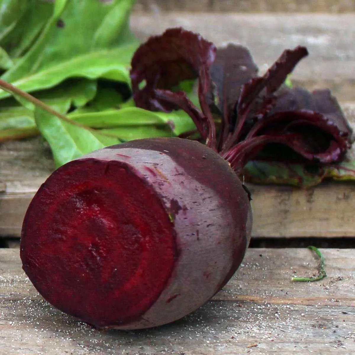 Rote Bete 'Bull's Blood' (Beta vulgaris) Samen