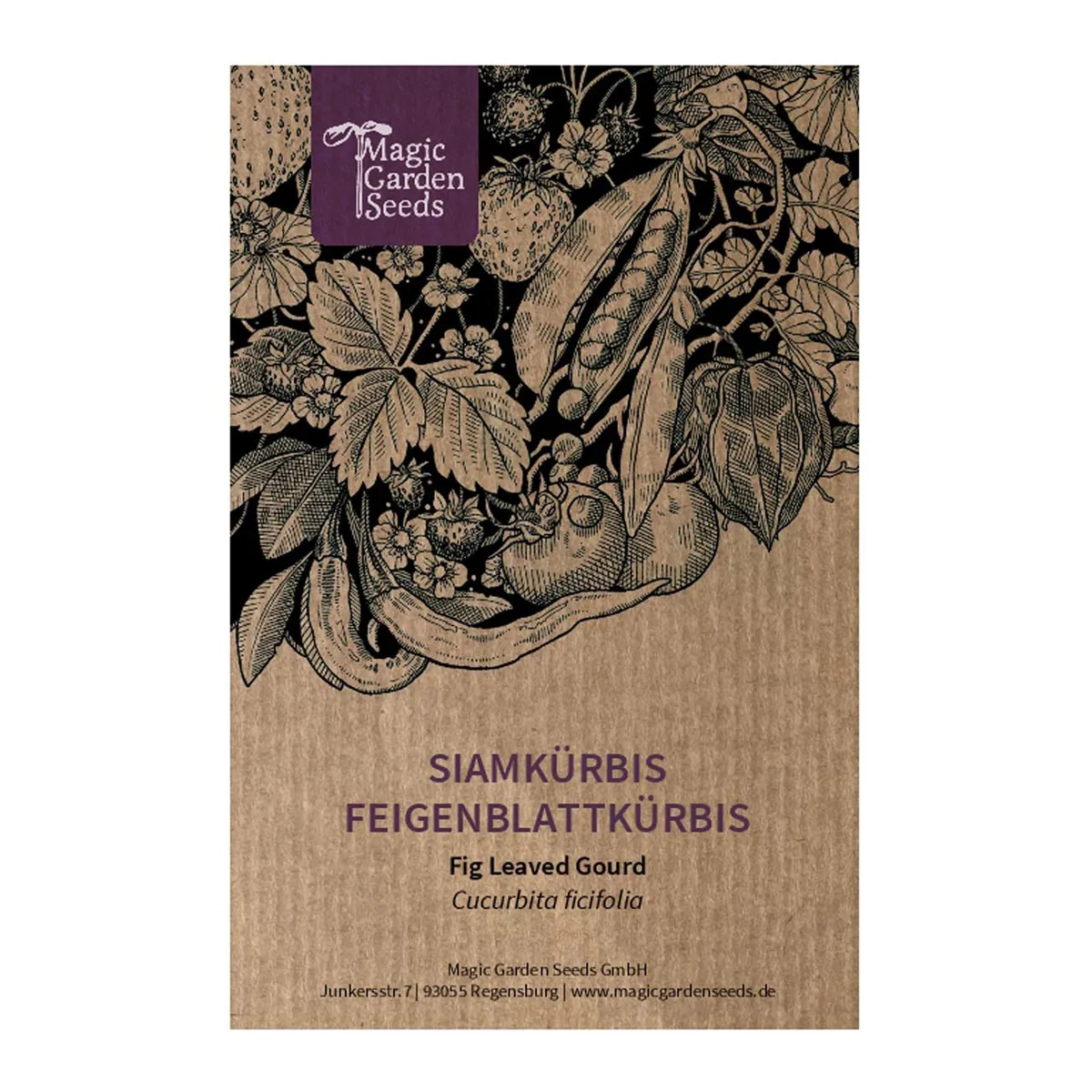Siamkürbis / Feigenblattkürbis (Cucurbita ficifolia) Samen