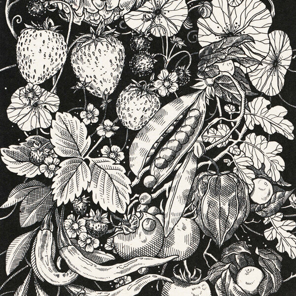 Illustration en noir et blanc avec fraises, cosses de pois, piments, physalis et tomates