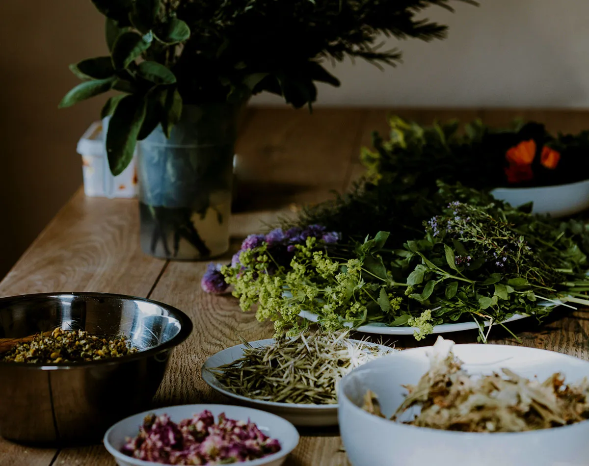 Plantes homéopathiques