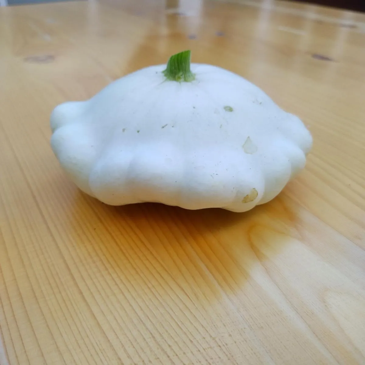 Patisson Blanc / Kürbis weiß 'Custard White' (Cucurbita pepo) Samen