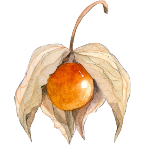 Fruits exotiques