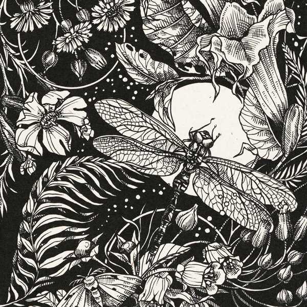 Illustration en noir et blanc : libellule devant la pleine lune parmi des fleurs, des fougères et un papillon de nuit