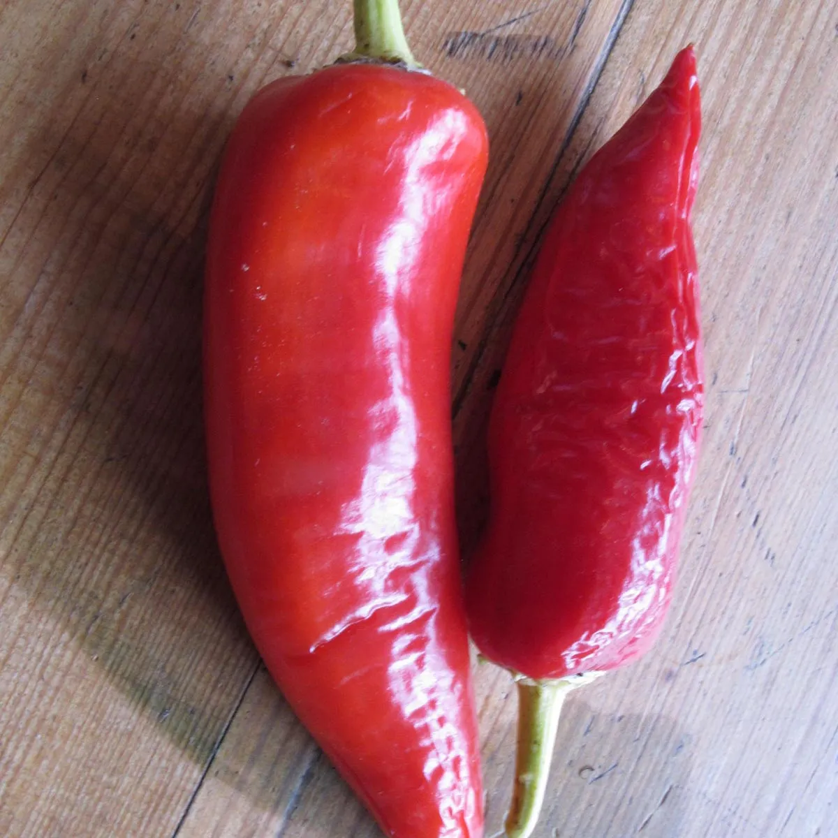 Chili 'Hungarian Hot Wax' (Capsicum annuum) Bio Saatgut