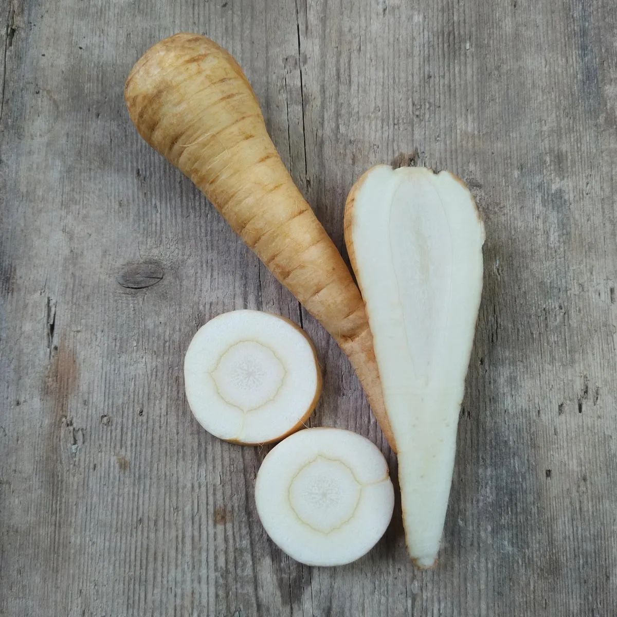 Pastinake 'Tender and True' (Pastinaca sativa) Bio Saatgut