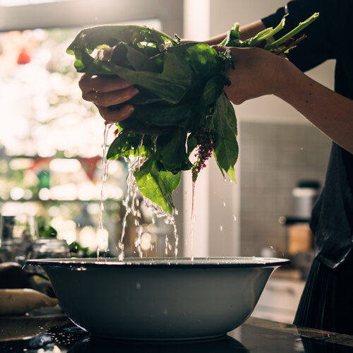 Légumes-feuilles fraîchement récoltés lavés au-dessus d’une bassine d’eau