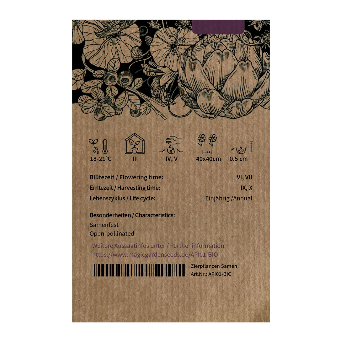 Knollensellerie 'Roem van Zwijndrecht' (Apium graveolens) Bio