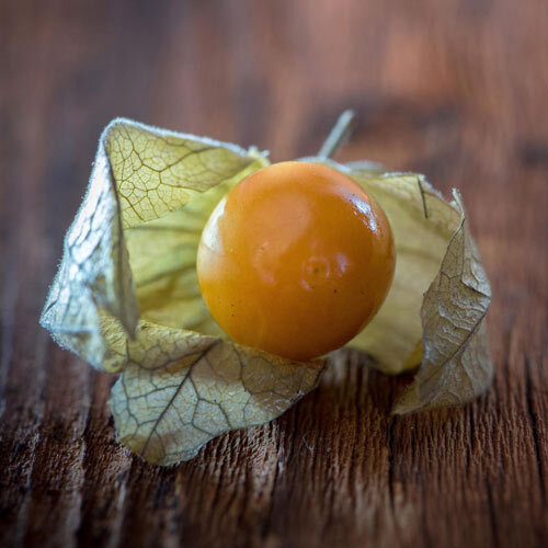 Physalis mûr (coqueret du Pérou) dans son calice sec entrouvert
