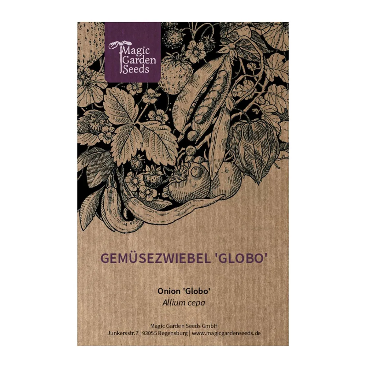 Gemüsezwiebel 'Globo' (Allium cepa) Samen