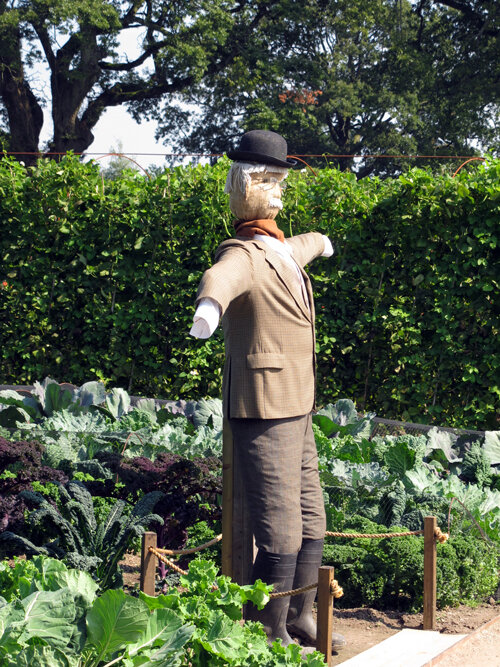 Épouvantail en chapeau melon et costume dans un potager avec différentes variétés de choux