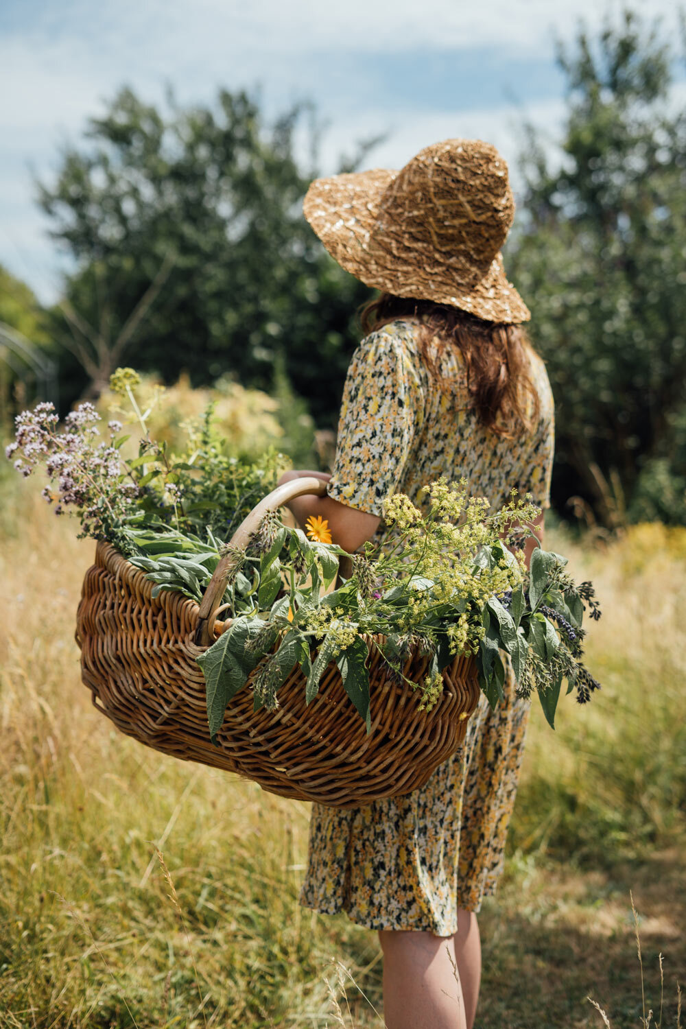 Femme au chapeau de paille portant un panier en osier rempli d'herbes et de fleurs cueillies