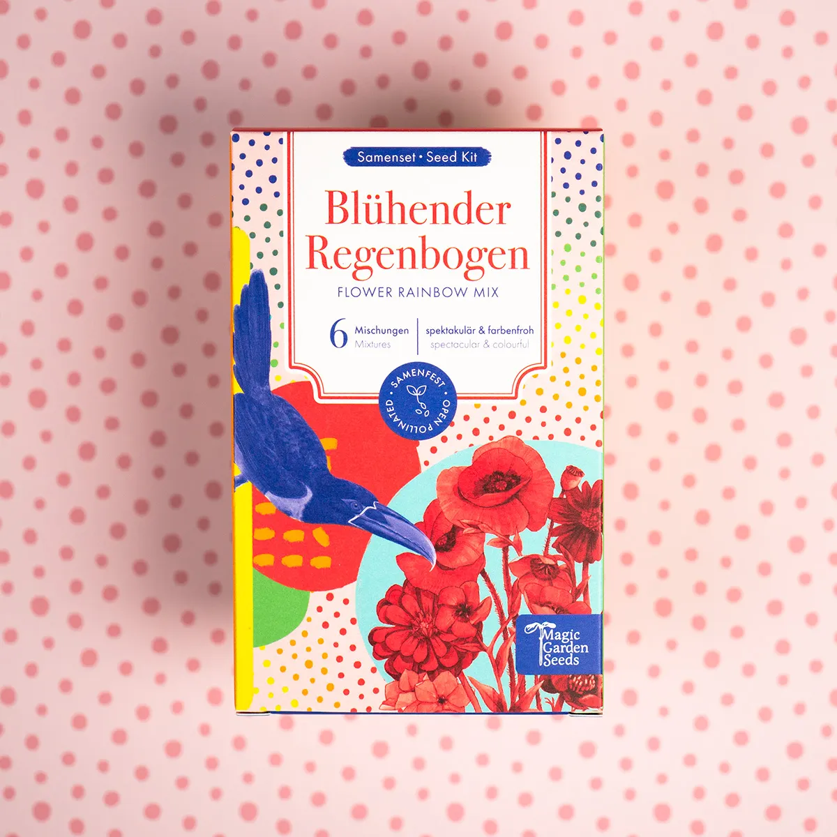 Arc-en-ciel de fleurs – Kit de graines pour débutants