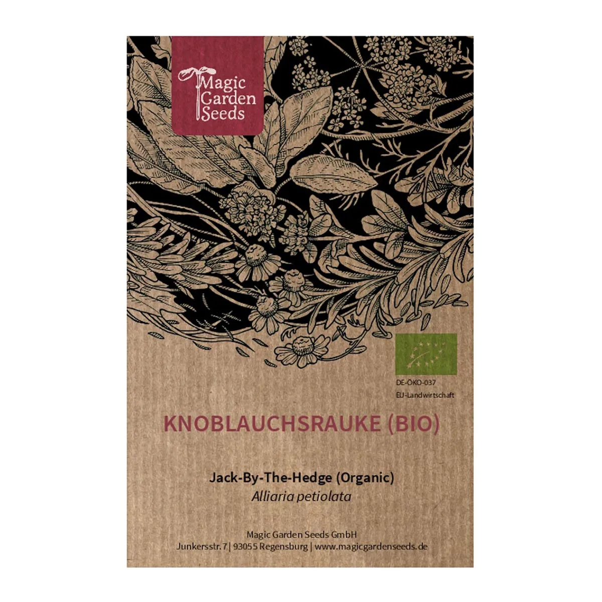 Knoblauchsrauke (Alliaria petiolata) Bio Saatgut