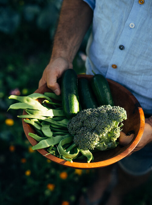 Bol en bois rempli de légumes d’été fraîchement récoltés : haricots plats, courgettes et brocoli