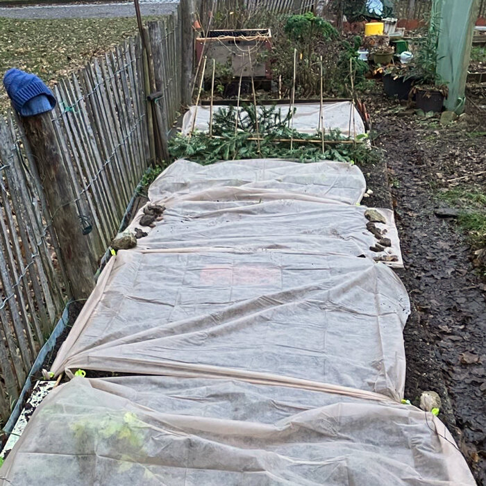 Potager en hiver, recouvert d’un voile d’hivernage contre le froid