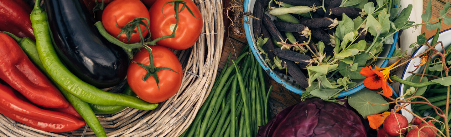 Légumes fraîchement récoltés, joliment présentés sur une table