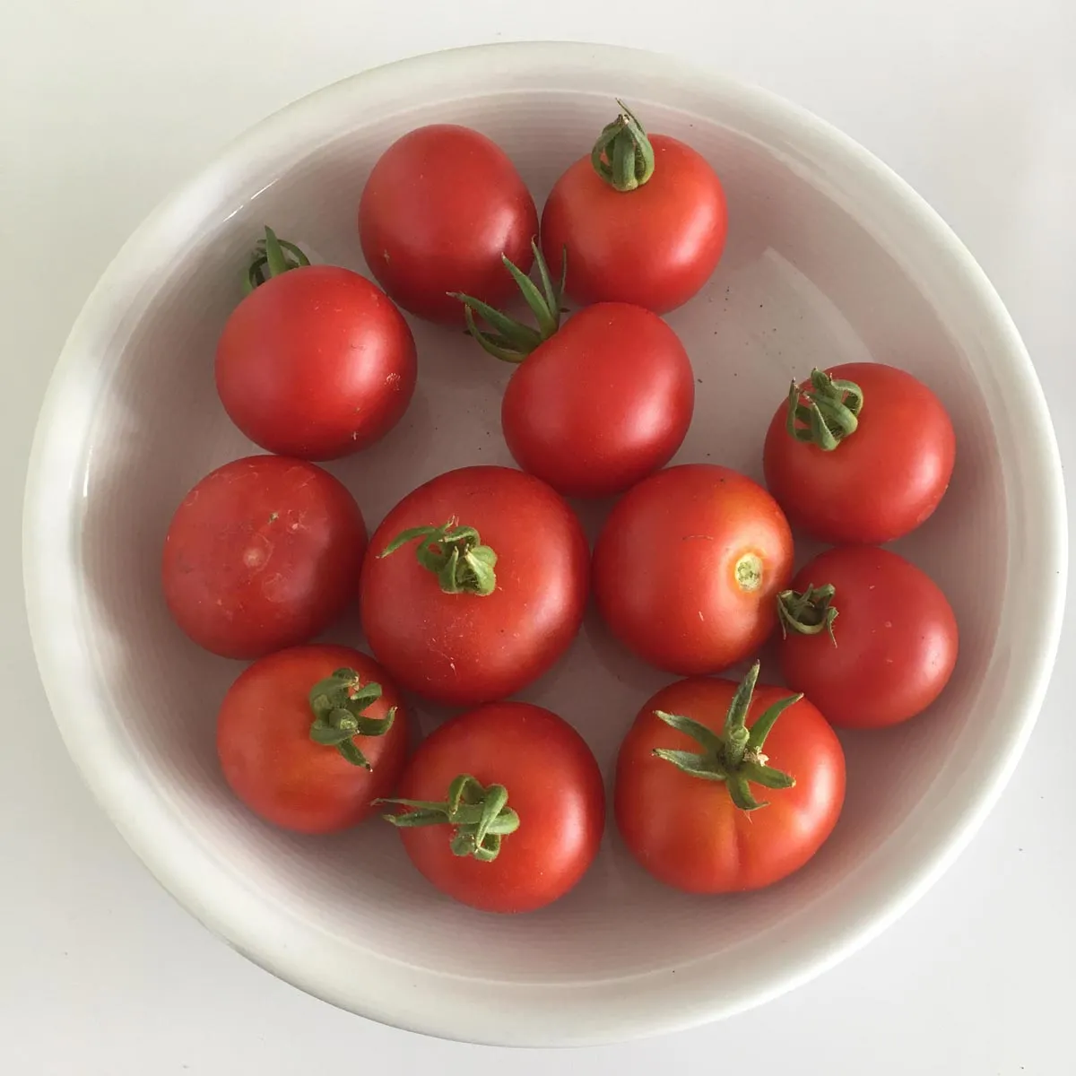 Dänische Export-Tomate 'Dansk Export' (Solanum lycopersicum) Samen