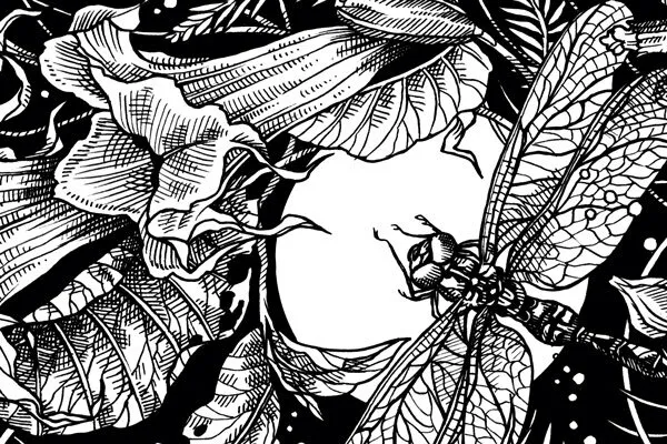 Illustration d'un papillon de nuit parmi des fleurs nocturnes