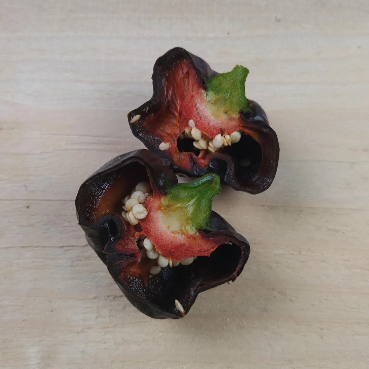 Mexikanischer Chili 'Chilhuacle Negro' (Capsicum annuum) Samen