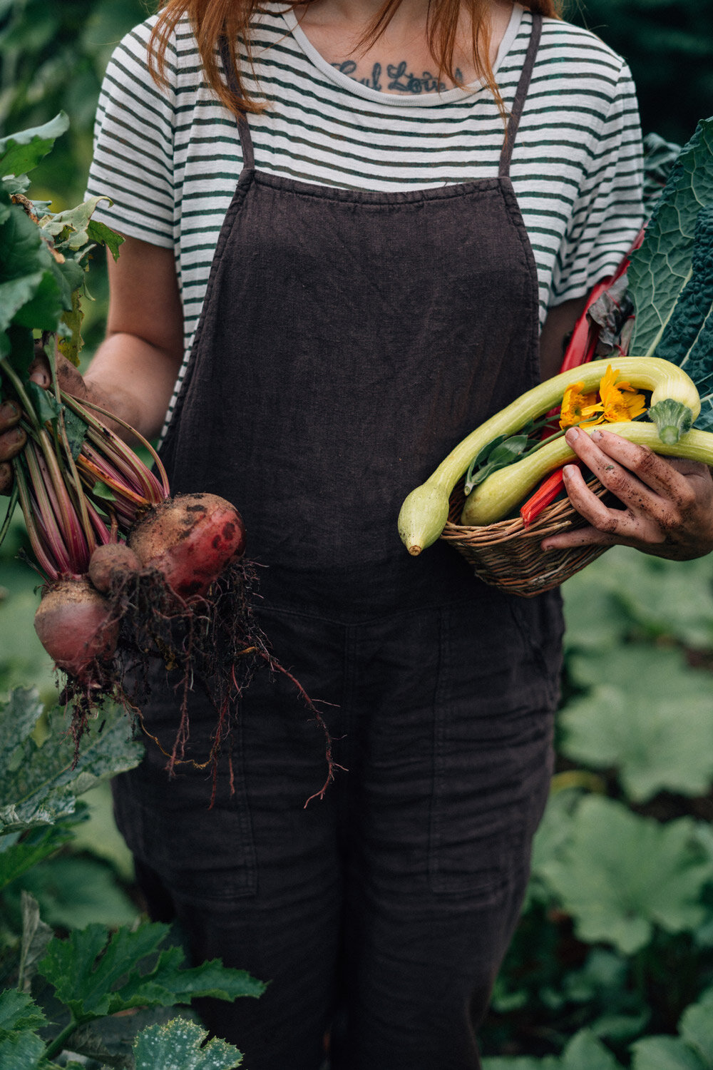 Jardinière tenant des légumes fraîchement récoltés : betteraves avec fanes et panier plein