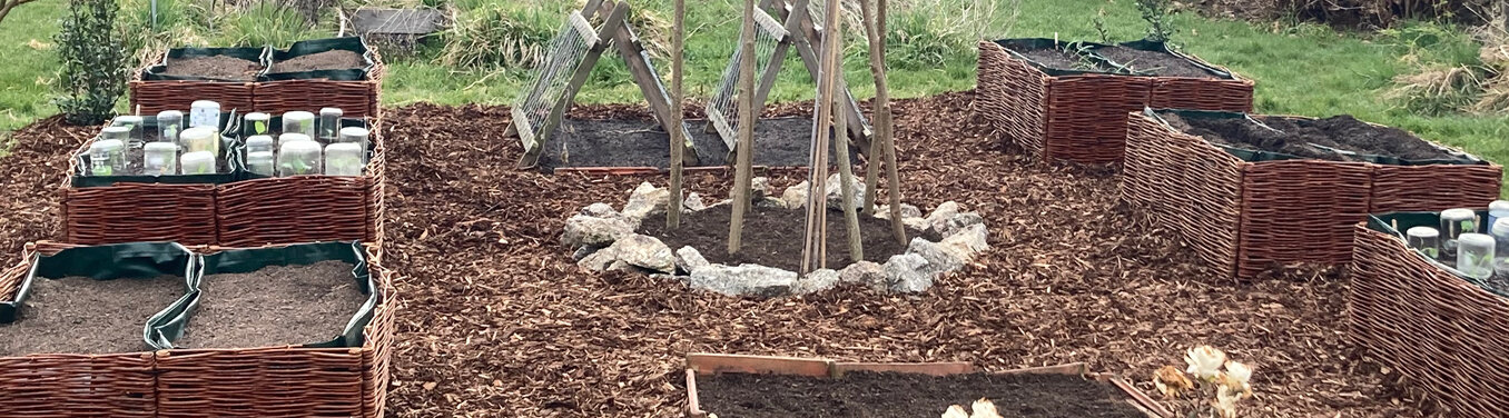 Jardin au printemps : carrés potagers surélevés tressés, allées en copeaux de bois et tuteur en perches