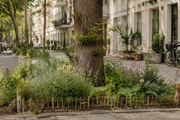 Pied d'arbre planté dans une rue de ville