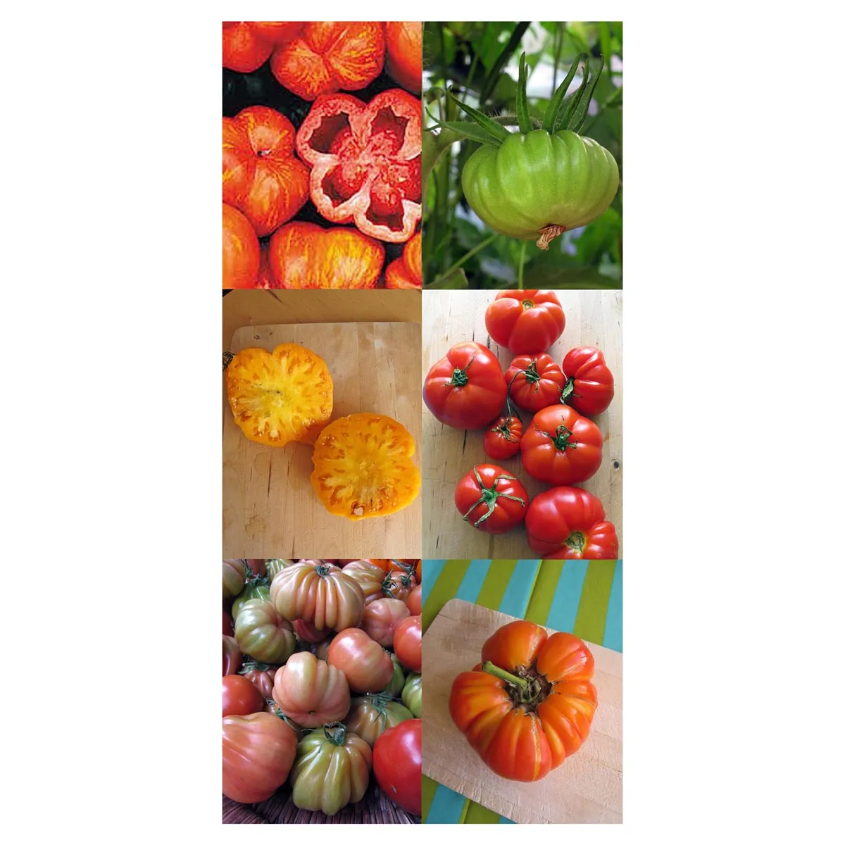 Leckere alte Fleischtomatensorten - Samenset