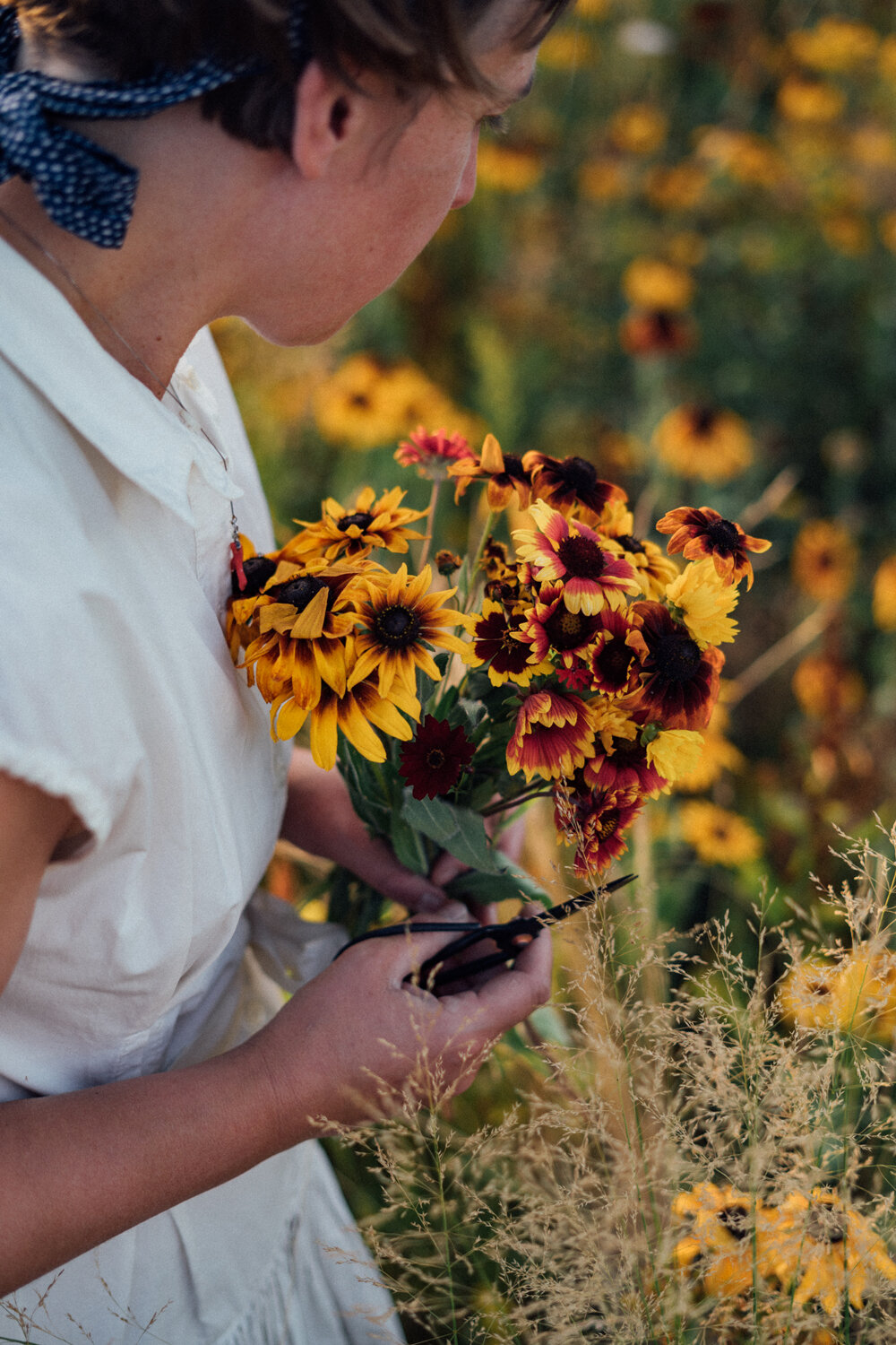 Une femme coupe des fleurs pour un bouquet