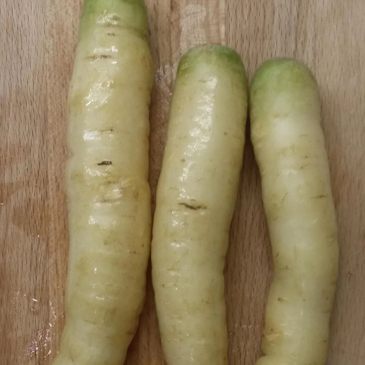 Weisse Möhre 'Blanche a Collet Vert' (Daucus carota) Samen