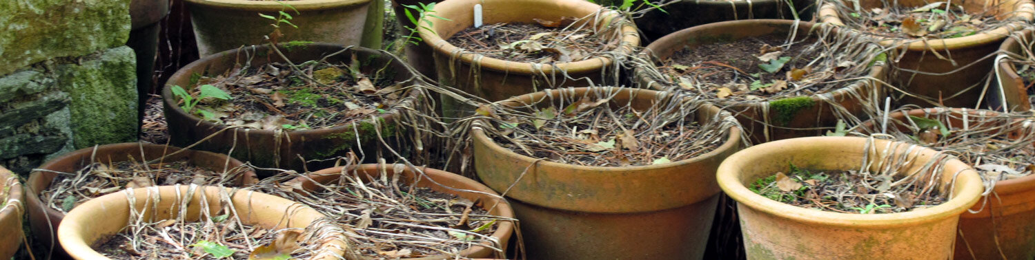 Pots de fleurs vides en attente de nouvelles plantes