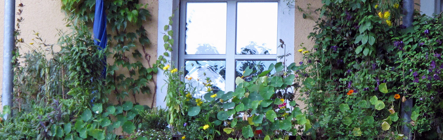 Nature sauvage urbaine sur le balcon