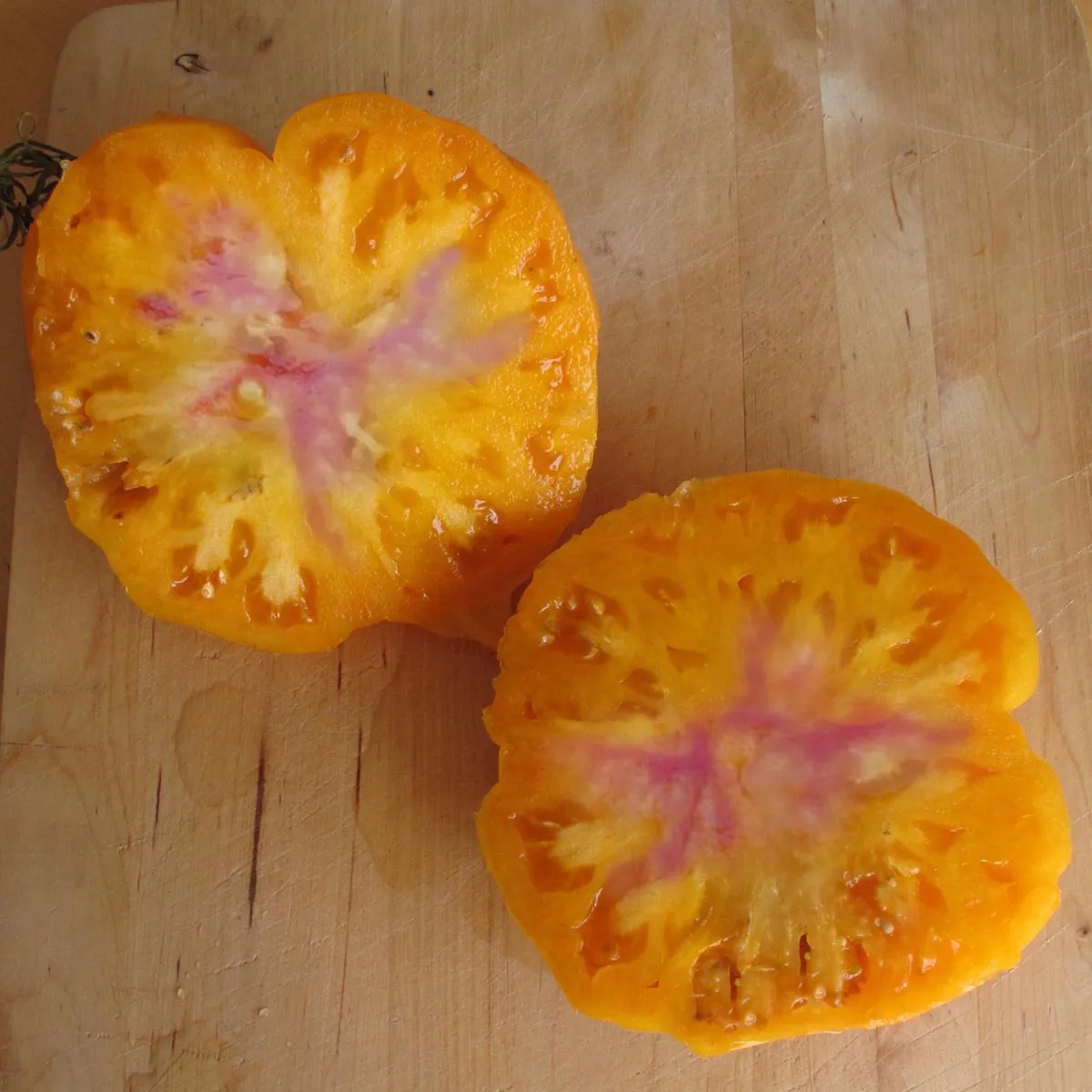 Tomate 'Old German' (Solanum lycopersicum) Samen