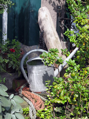 Arrosoir pour arroser le jardin