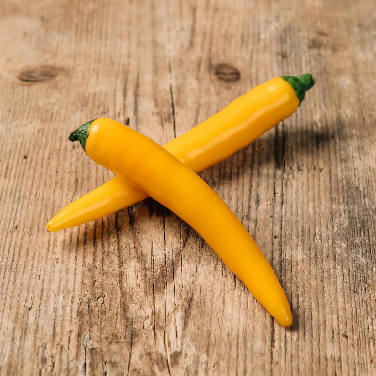 Cayennepfeffer-Chili 'Golden Cayenne' (Capsicum annuum) Samen