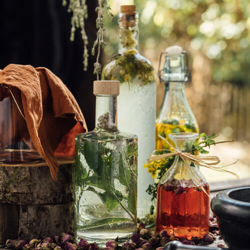 Herbes et fleurs conservées dans du vinaigre et de l'huile en bouteilles de verre
