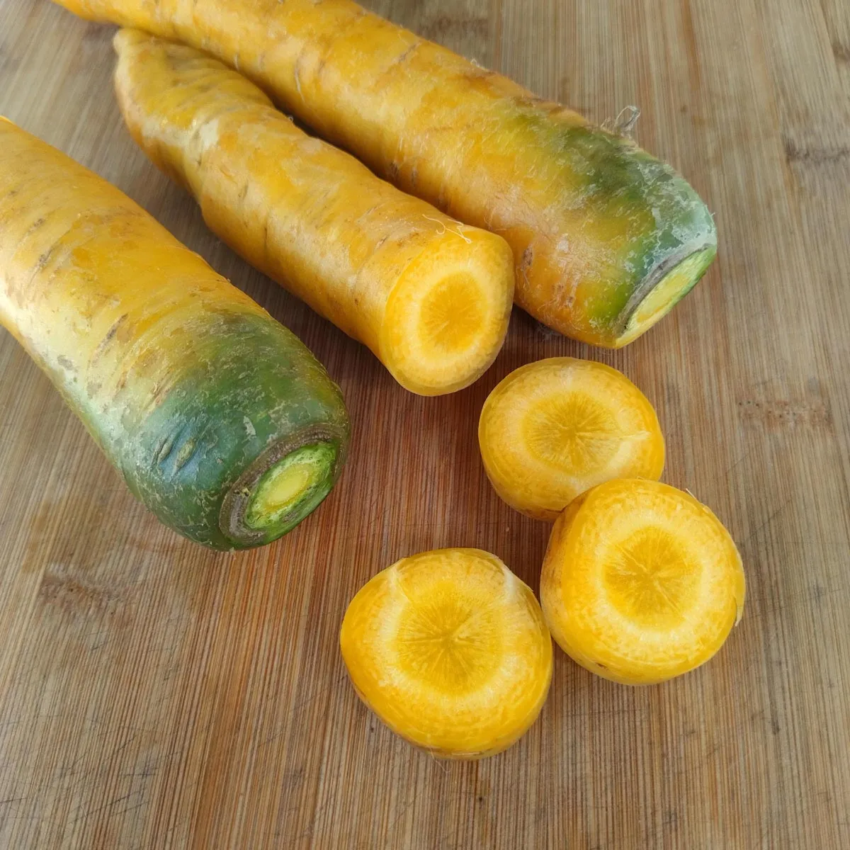 Gelbe Möhre 'Jaune Du Doubs' (Daucus carota) Bio Saatgut