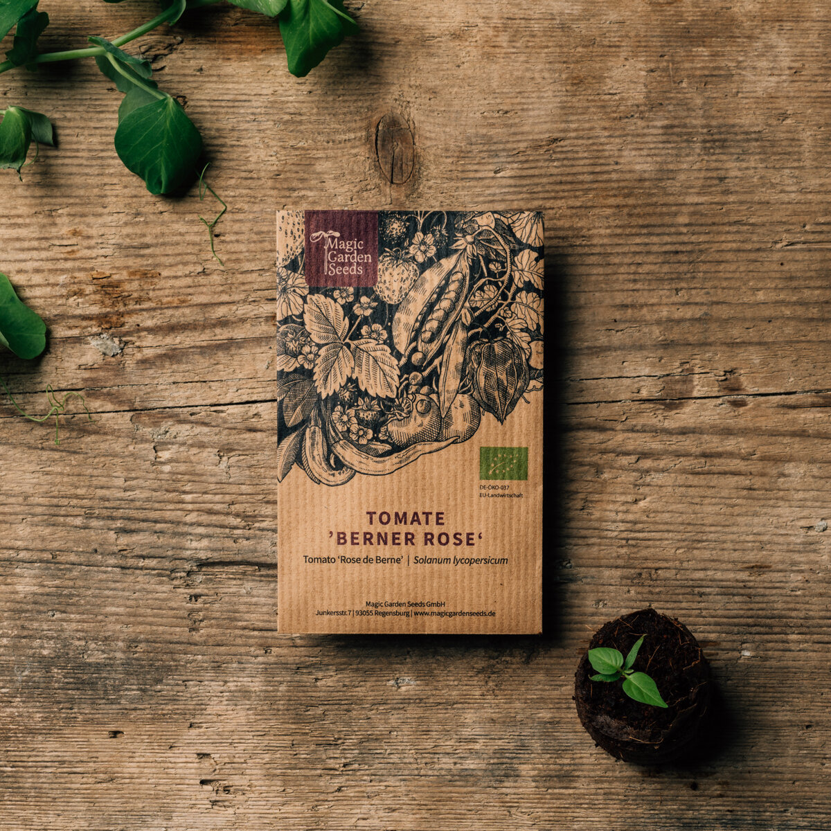 Face avant d'un sachet de graines avec illustration, label bio et nom : tomate 'Berner Rose' (Solanum lycopersicum)