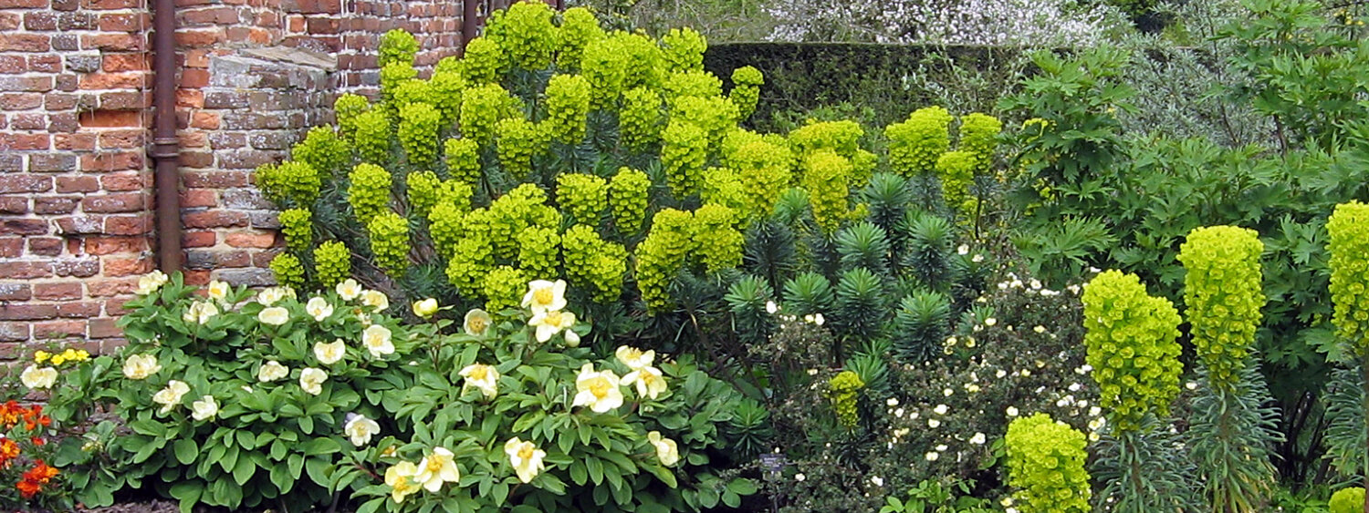 Massif de vivaces à Sissinghurst