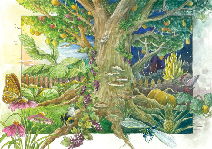 Illustration d'un jardin magique : arbre fruitier sous un ciel de jour et de nuit, fleurs, bourdon et libellule