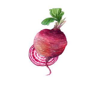 Graines de légumes