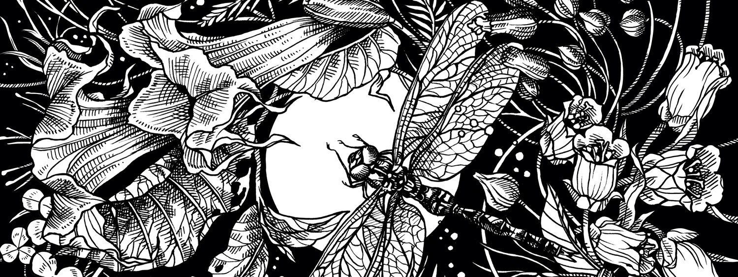 Illustration d'un jardin de lune