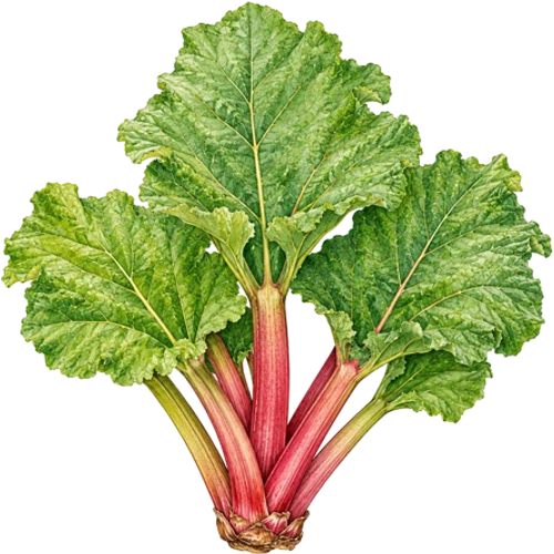 Autres espèces fruitières