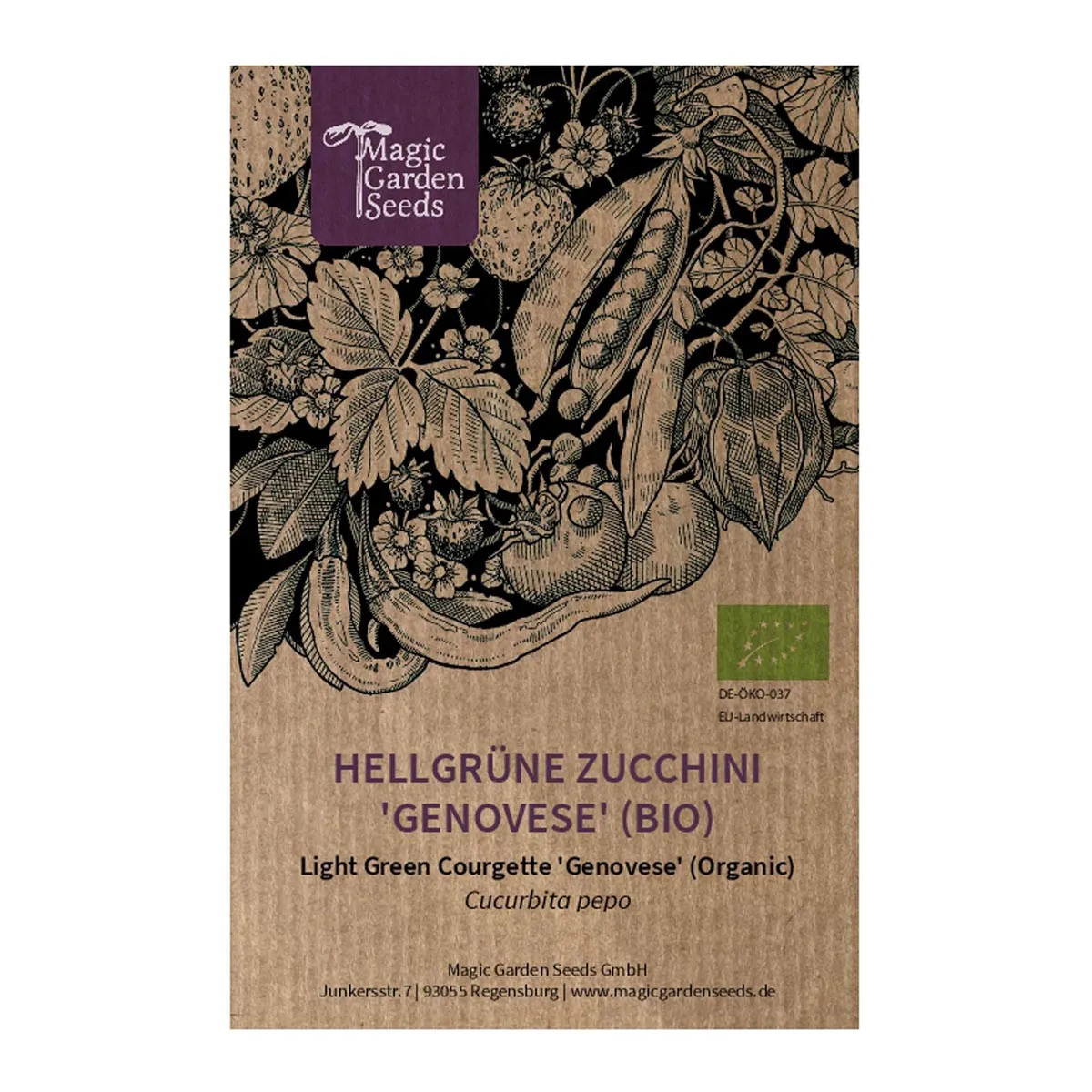 Hellgrüne Zucchini 'Genovese' (Cucurbita pepo) Bio