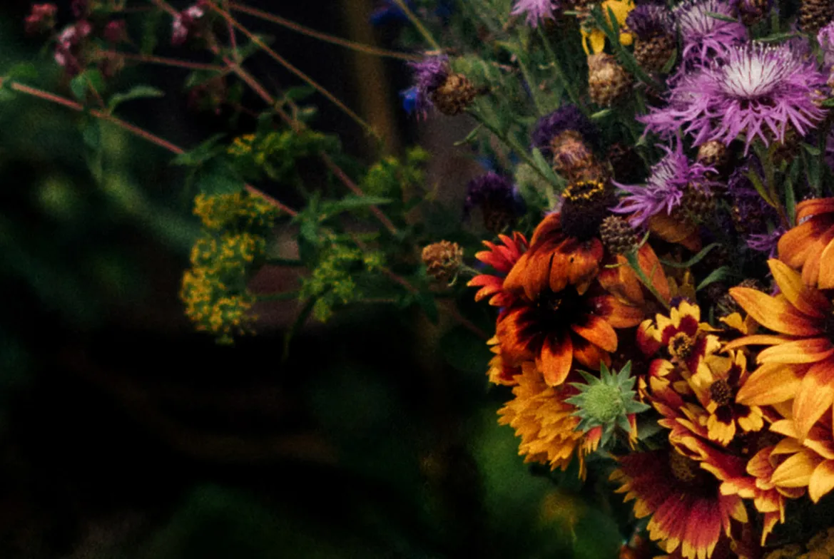 Bouquet coloré d’échinacées, de centaurées et de fleurs sauvages