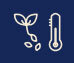 Symbole de la température de germination idéale : plantule à côté d'un thermomètre