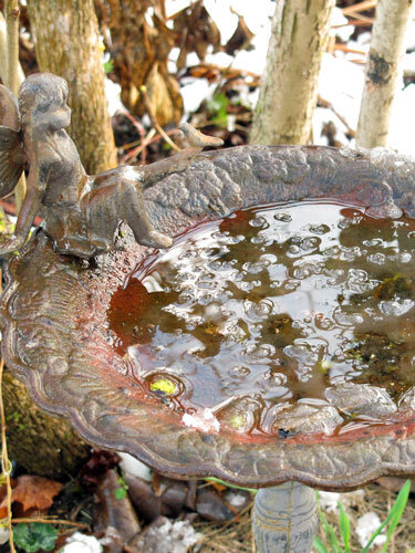 Bain d'oiseaux orné d'une figurine, rempli d'eau, dans le jardin en hiver