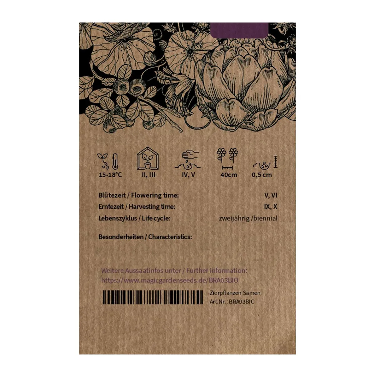 Spitzkohl 'Filderkraut' (Brassica oleracea) Bio Saatgut